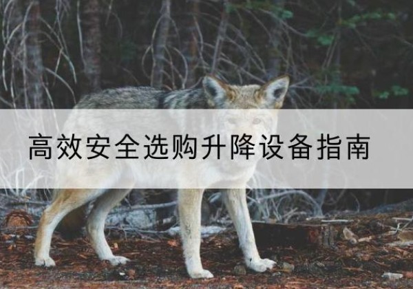 富拉尔基升降货梯厂家推荐-*安全选购升降设备指南