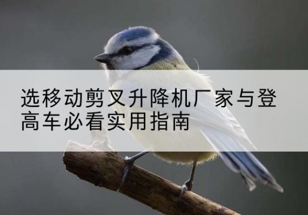 富拉尔基电动升降机厂家-选移动剪叉升降机厂家与登高车必看实用指南